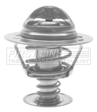 Thermostat, coolant (FTS169.82)