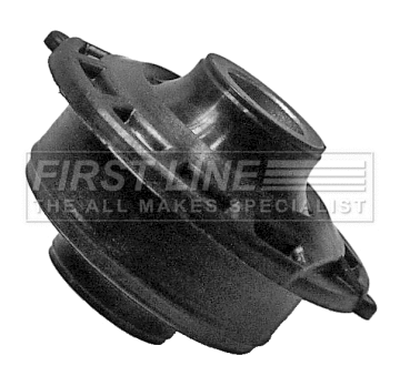Mounting, control/trailing arm (FSK6404)