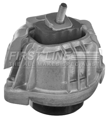 Mounting, engine (FEM4367)