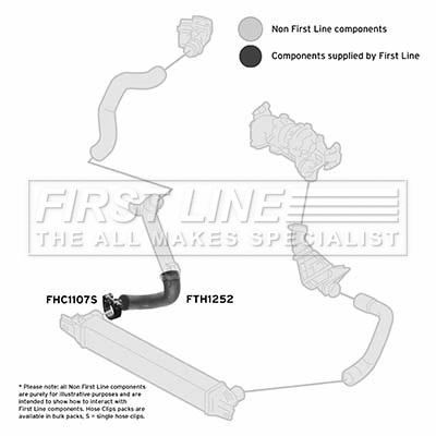 Charge Air Hose (FTH1252)