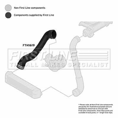 Charge Air Hose (FTH1619)