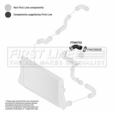 Charge Air Hose (FTH1713)
