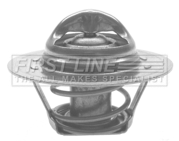 Thermostat, coolant (FTS261.82)