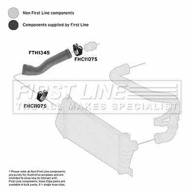 Charge Air Hose (FTH1345)