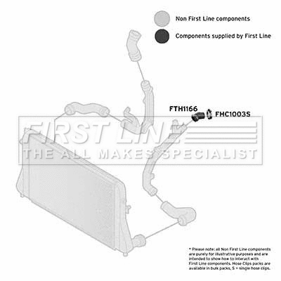 Charge Air Hose (FTH1166)