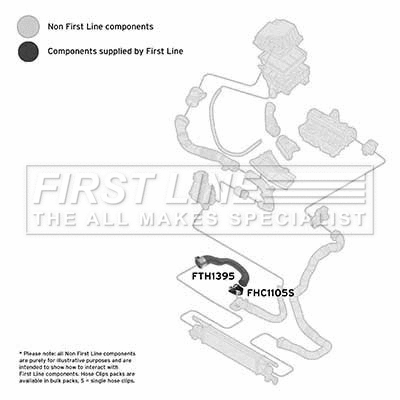 Charge Air Hose (FTH1395)