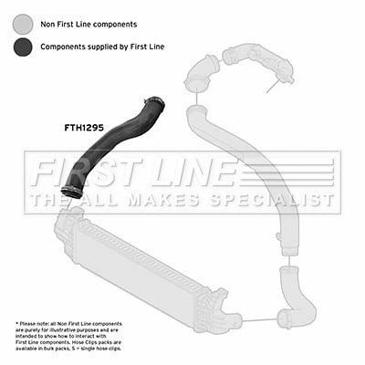 Charge Air Hose (FTH1295)