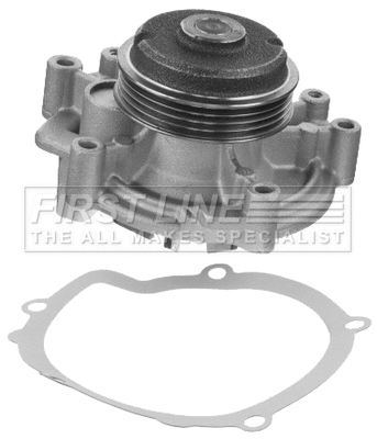 Water Pump, engine cooling (FWP1741)