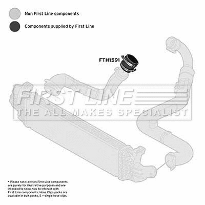 Charge Air Hose (FTH1591)
