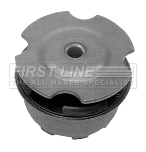 Mounting, engine (FEM3094)