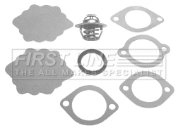 Thermostat, coolant (FTK003)
