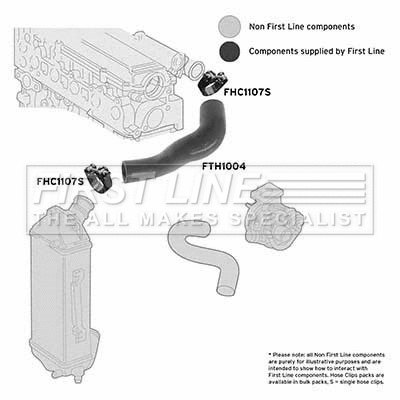 Charge Air Hose (FTH1004)