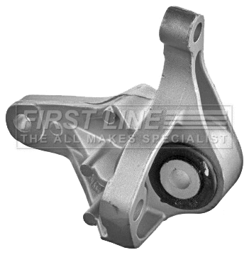 Mounting, engine (FEM4044)