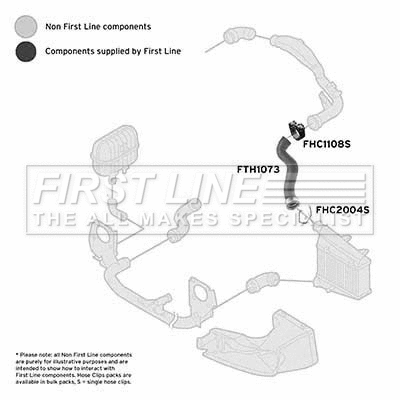 Charge Air Hose (FTH1073)