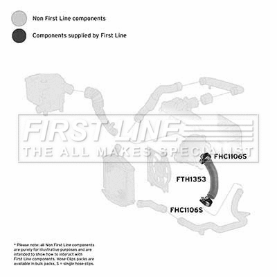 Charge Air Hose (FTH1353)
