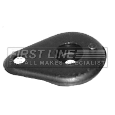 Bushing, axle bracket (FSM2017)