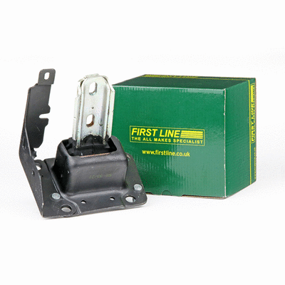 Mounting, engine (FEM4249)