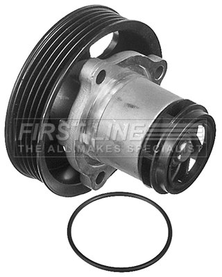 Water Pump, engine cooling (FWP2204)