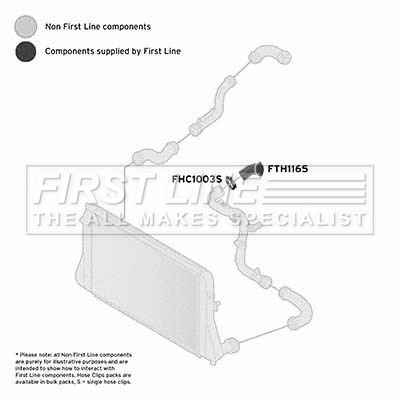 Charge Air Hose (FTH1165)