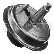 Mounting, engine (FEM4079)