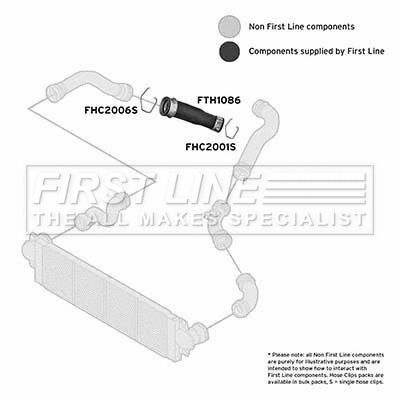 Charge Air Hose (FTH1086)