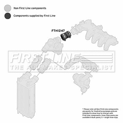 Charge Air Hose (FTH1247)