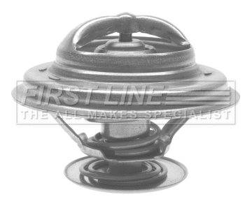 Thermostat, coolant (FTS159.87)