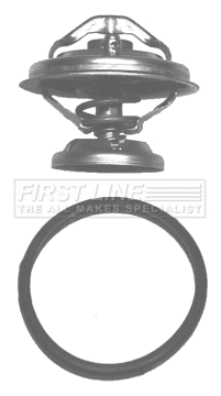 Thermostat, coolant (FTK060)