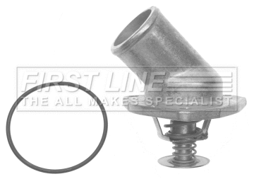 Thermostat, coolant (FTS294.92)