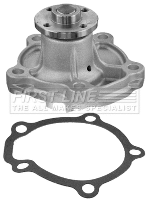 Water Pump, engine cooling (FWP2118)