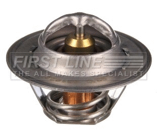 Thermostat, coolant (FTS104.92)