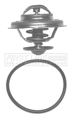 Thermostat, coolant (FTK029)