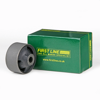 Mounting, control/trailing arm