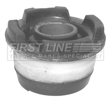 Bushing, axle bracket (FSK6627)