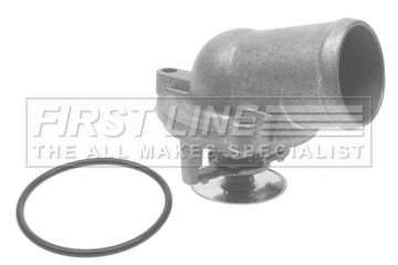 Thermostat, coolant (FTS291.87)