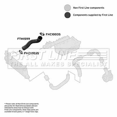 Charge Air Hose (FTH1599)