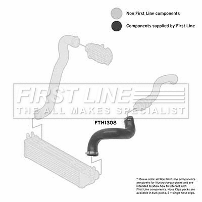 Charge Air Hose (FTH1308)
