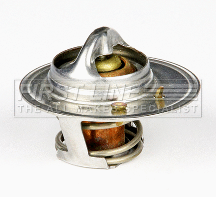 Thermostat, coolant (FTS232.88)