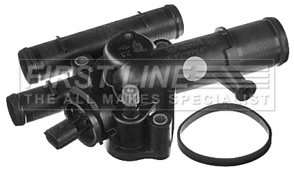 Thermostat, coolant (FTK268)