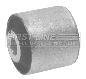 Mounting, control/trailing arm (FSK6870)