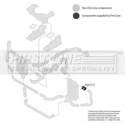 Charge Air Hose (FTH1717)