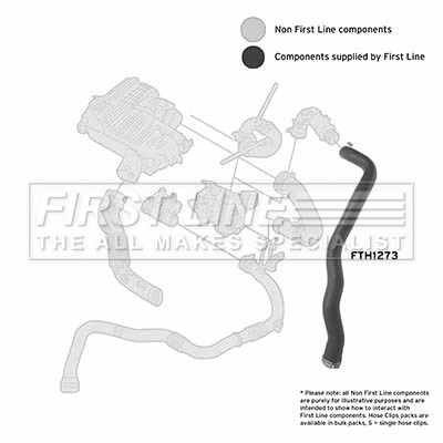 Charge Air Hose (FTH1273)