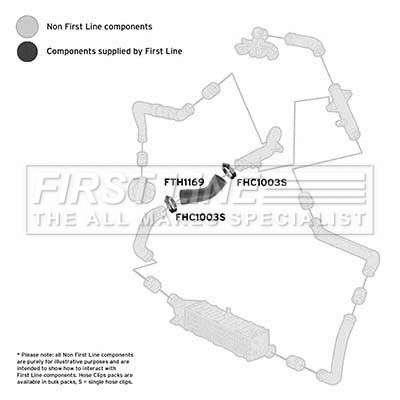 Charge Air Hose (FTH1169)