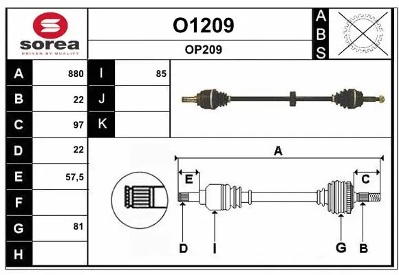 Drive Shaft (O1209)