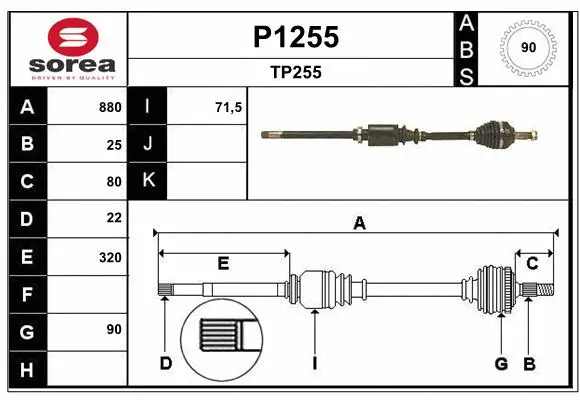Drive Shaft (P1255)
