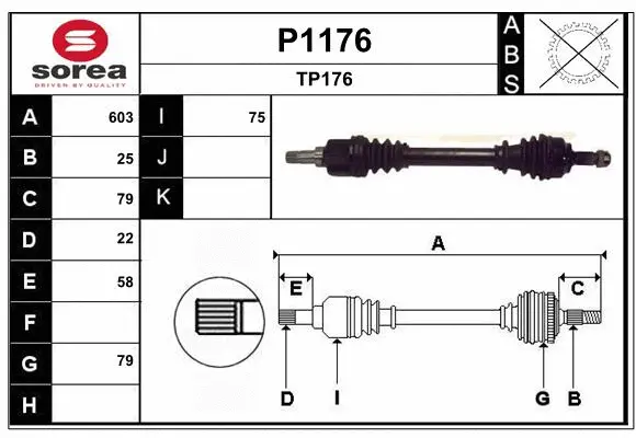 Drive Shaft (P1176)