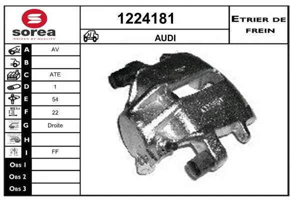 Brake Caliper (1224181)