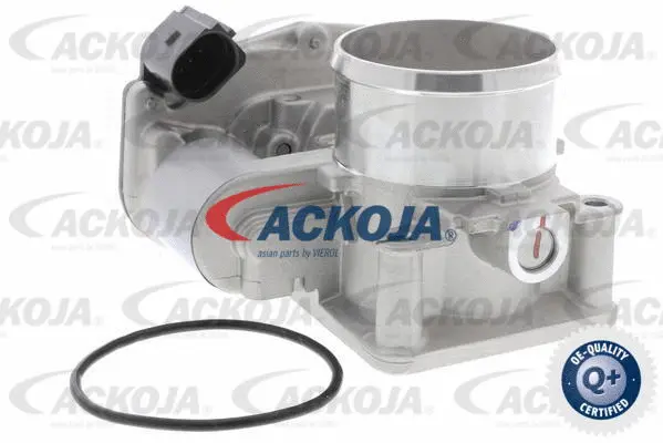 Throttle Body (A53-81-0005)