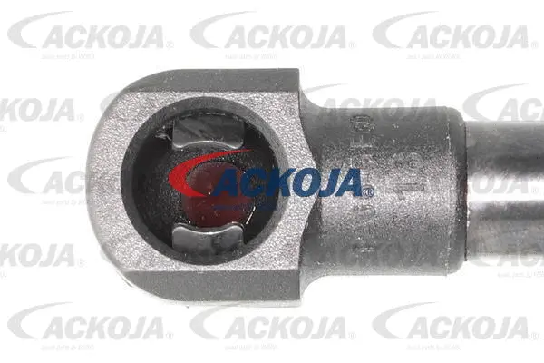 Gas Spring, boot/cargo area