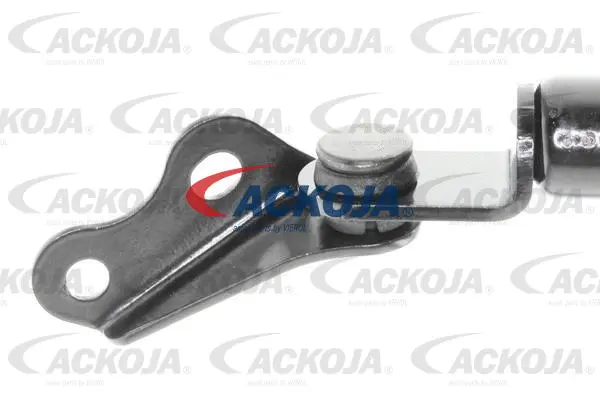 Gas Spring, boot/cargo area